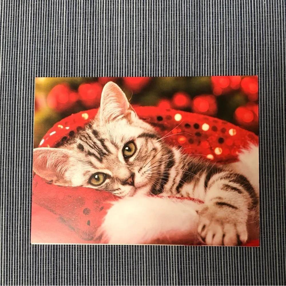 Five (5) Animal Holiday Cards